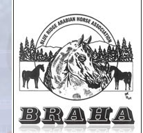 BRAHA Logo